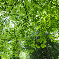Shelter - 24mm, f/4, ISO 250, 1/30s