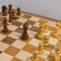 Check Mate - 50mm f/4, ISO 40 1/30s