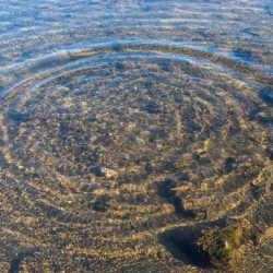 Ripple Effect - 50mm, f/9, ISO 400, 1/160s