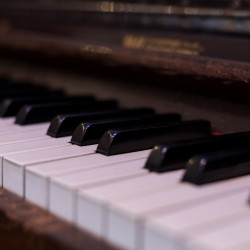 My Saviour - 50mm, f/2.8, ISO 1600, 1/50