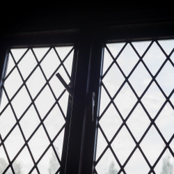 Do I or Don't I - 50mm, f/5, ISO 250, 1/250s